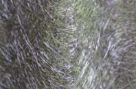 Llanychaer fibreglass roof work